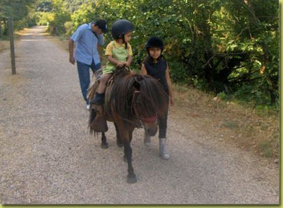 poney-4 - ©RANCH DE LA VALLEE DE LA MARE