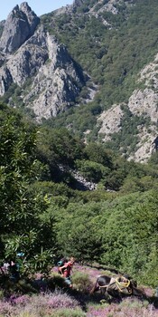 Balade avec âne dans le Caroux ©Balladanes