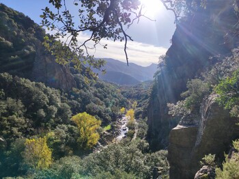 IMG_20251116_103917 ©Gorges d'Heric 