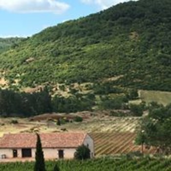 13442694-302317156771496-1030825435624095909-o ©MAS DE LA DOUX