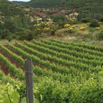 13667802-310718905931321-2131911713384749713-o ©MAS DE LA DOUX