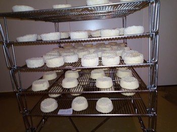 70398298-2514947018583596-1653143048353218560-n ©GAEC du Licidou