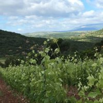 13691087-310718842597994-5929380792657875195-o ©MAS DE LA DOUX