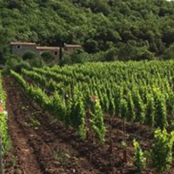 13692971-310718845931327-1270851029511493107-o ©MAS DE LA DOUX