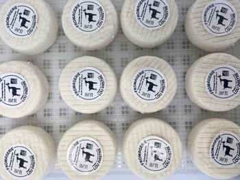 FROMAGERIA LOU PASTRE LES FROMAGES ©FROMAGERIE LOU PASTRE