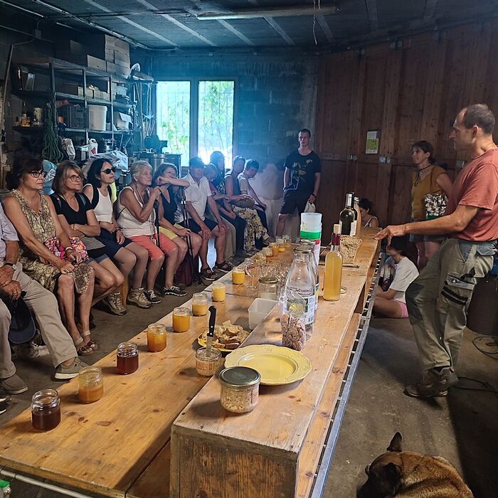 LES MERCREDIS AU PAYS : LE RUCHER DES ARTS - 26 AOÛT 2026 - 16 H