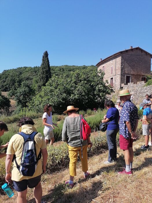 LES MERCREDIS AU PAYS - DOMAINE DE POUZES - 10 JUIN 2026 - 10 H