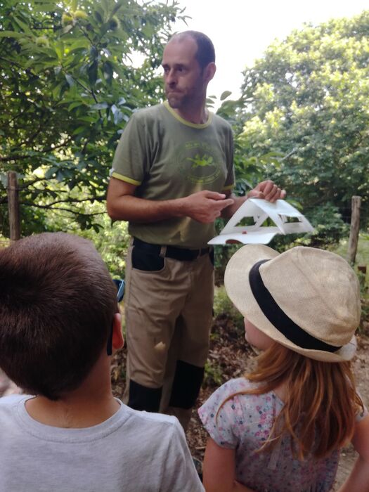 LES MERCREDIS AU PAYS : LE RUCHER DES ARTS - 5 AOUT 2026 - 16 H