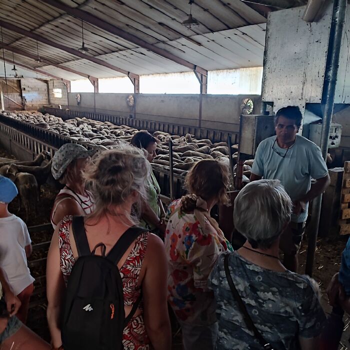 LES MERCREDIS AU PAYS : GAEC DE MONTAHUT - 22 JUILLET 2026 - 16H30