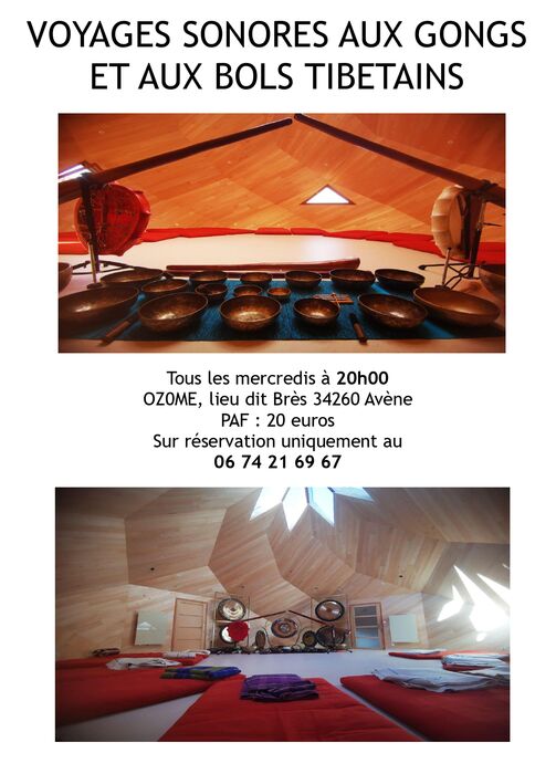 VOYAGES SONORES AUX GONGS ET BOLS TIBETAINS