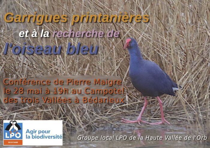 LPO PRÉSENTATION DE DEUX FILMS AVEC PIERRE MAIGRE