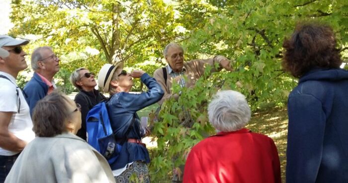 PROMENADE BOTANIQUE  : LES ARBRES ONT UNE HISTOIRE... VENDREDI 14 AOUT 2026 - 10H