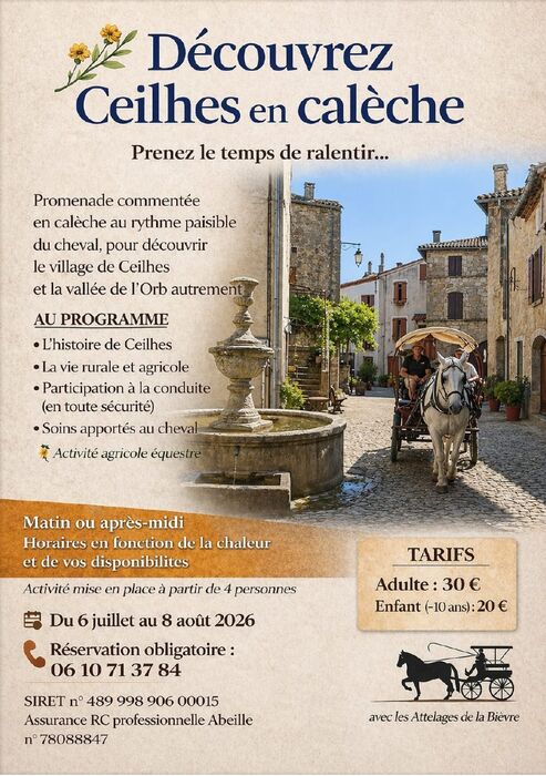 BALADE EN CALÈCHE