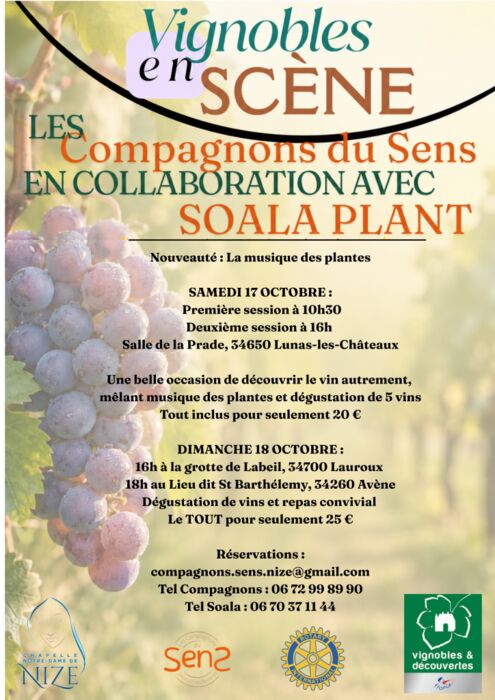 ÉCOUTE DES CÉPAGES, DÉGUSTATION DE VINS ET REPAS