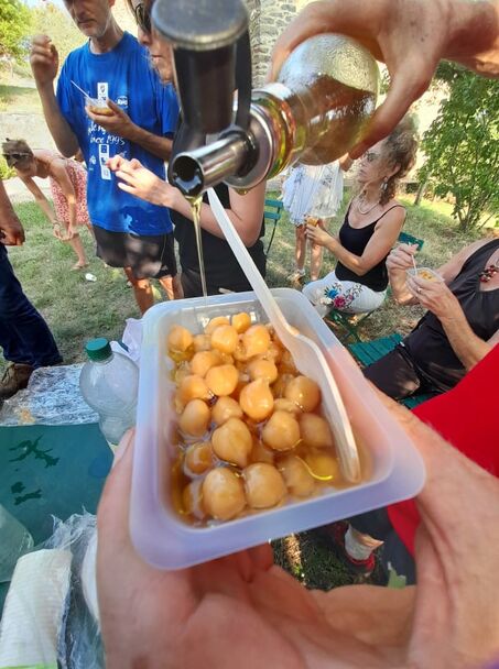 LES MERCREDIS AU PAYS : LES POIS CHICHES DE CARLENCAS - 17H30