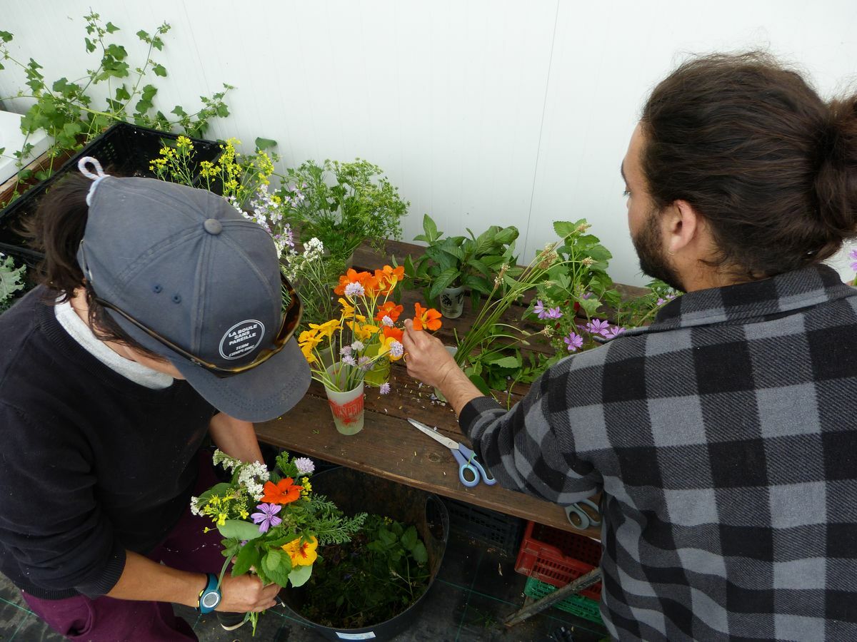 LES MERCREDIS AU PAYS - AGROSYMBIOSE - 24 JUIN 2026 - 10H