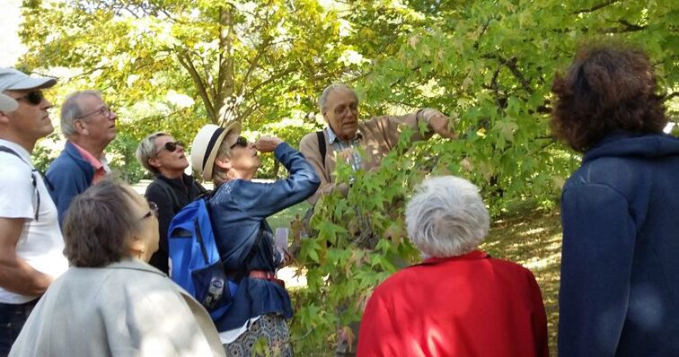 PROMENADE BOTANIQUE  : LES ARBRES ONT UNE HISTOIRE... VENDREDI 14 AOUT 2026 - 10H