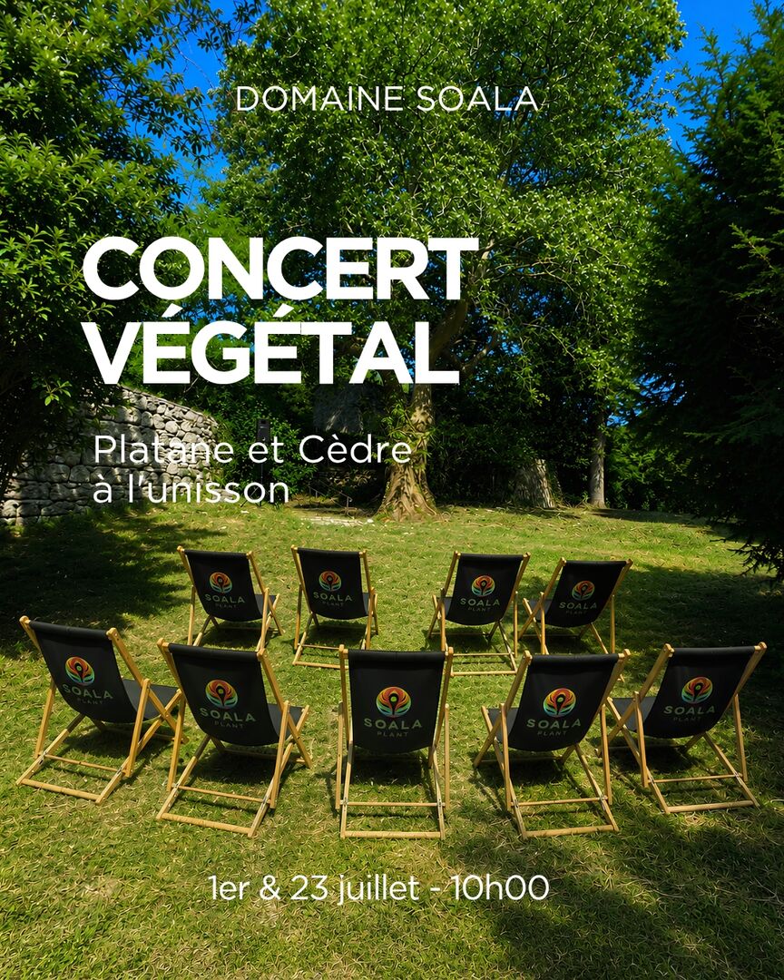 CONCERT VÉGÉTAL "PLATANE ET CÈDRE À L'UNISSON"