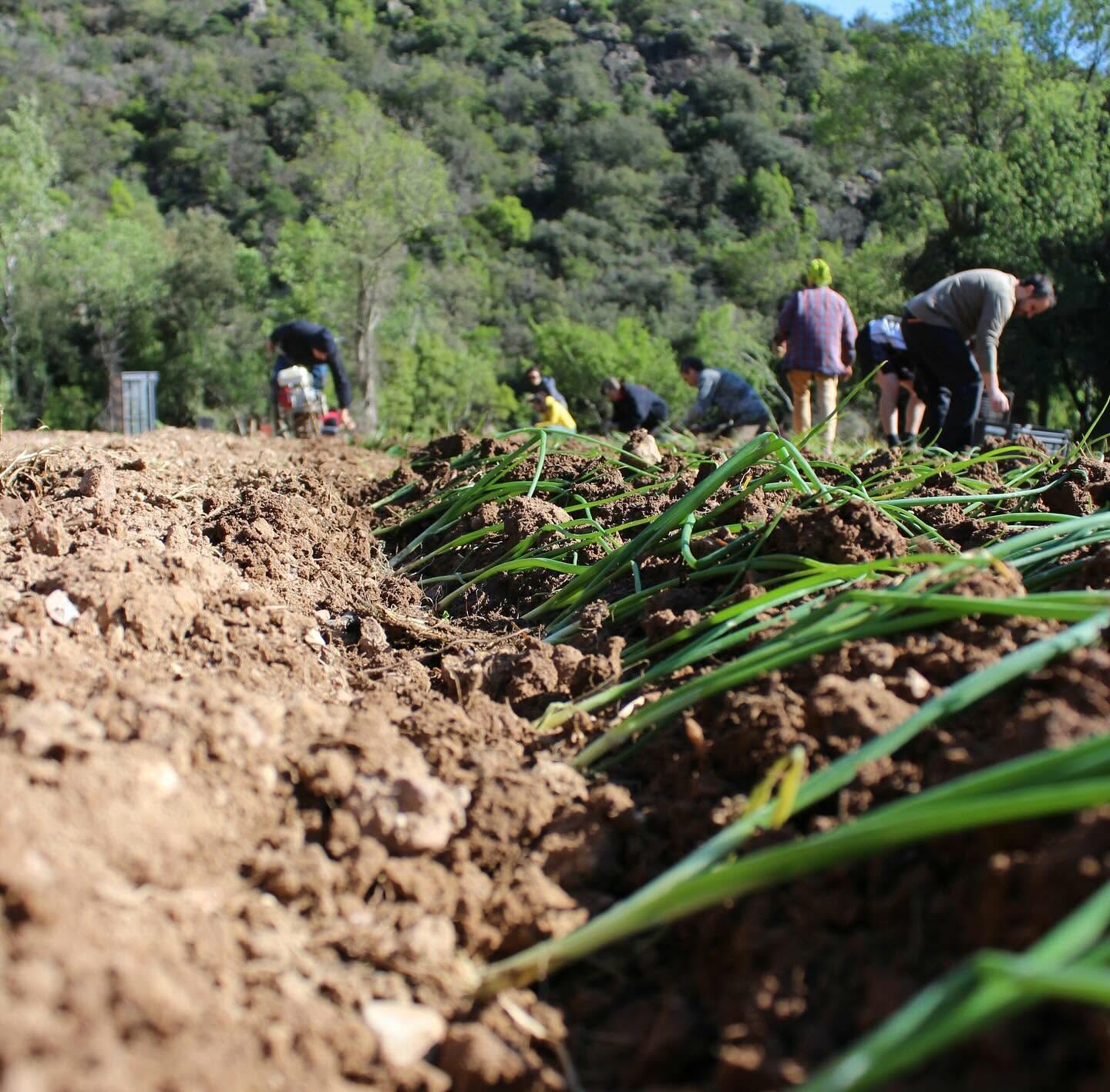 FÊTE DU GÉOPARC : BALADE AGRICOLE ET DÉGUSTATION