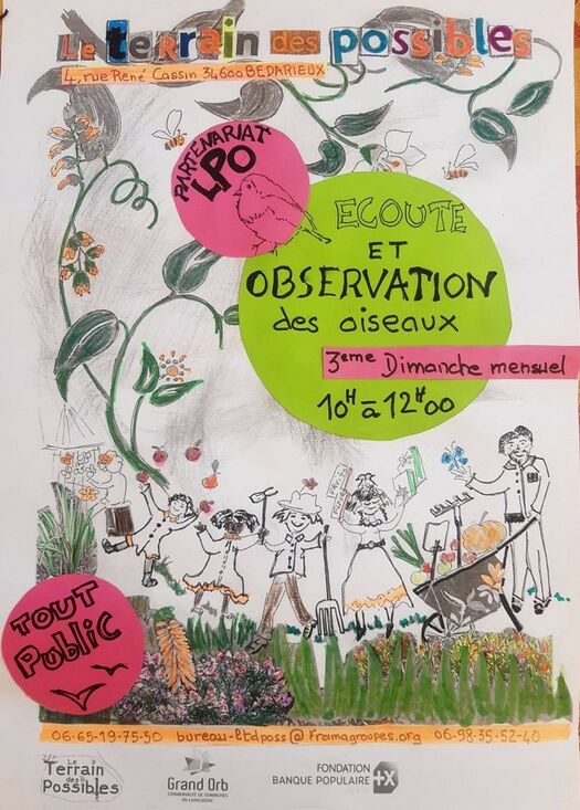 ÉCOUTE ET OBSERVATION DES OISEAUX