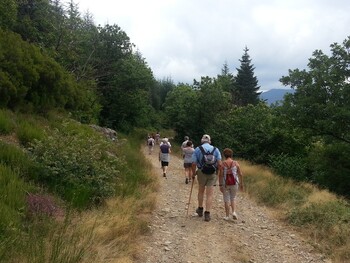 LAMALOU-LES-BAINS - RANDONNÉE ACCOMPAGNÉE