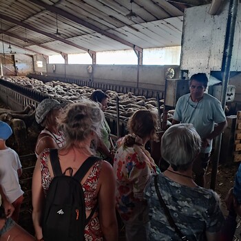 LUNAS-LES-CHATEAUX - LES MERCREDIS AU PAYS : GAEC DE MONTAHUT - 22 JUILLET 2026 - 16H30