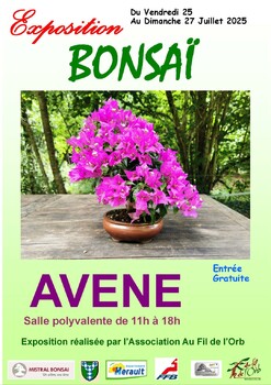 AVENE - EXPOSITION DE BONZAI A AVENE