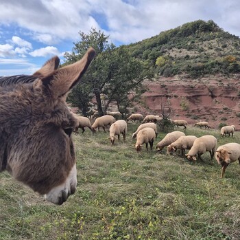 LUNAS-LES-CHATEAUX - LES MERCREDIS AU PAYS EN GRAND ORB : LA VALLEE DES Z'ANES