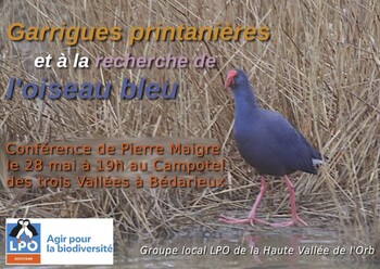 BEDARIEUX - LPO PRÉSENTATION DE DEUX FILMS AVEC PIERRE MAIGRE