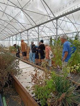 PEZENES-LES-MINES - LES MERCREDIS AU PAYS - AGROSYMBIOSE - MERCREDI 16 SEPTEMBRE 2026 - 10H