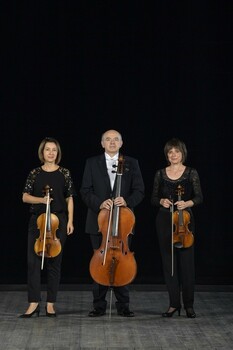 BEDARIEUX - LES VARIATIONS GOLDBERG PAR L’OPÉRA ORCHESTRE NATIONAL DE MONTPELLIER OCCITANIE