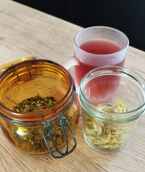 BEDARIEUX - ATELIER : VIENS CRÉER TA TISANE D'AUTOMNE!
