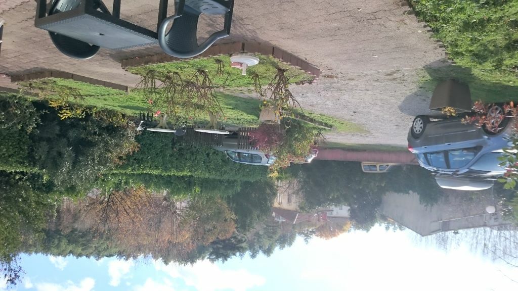 FIRLEY-N-6 ©©firley