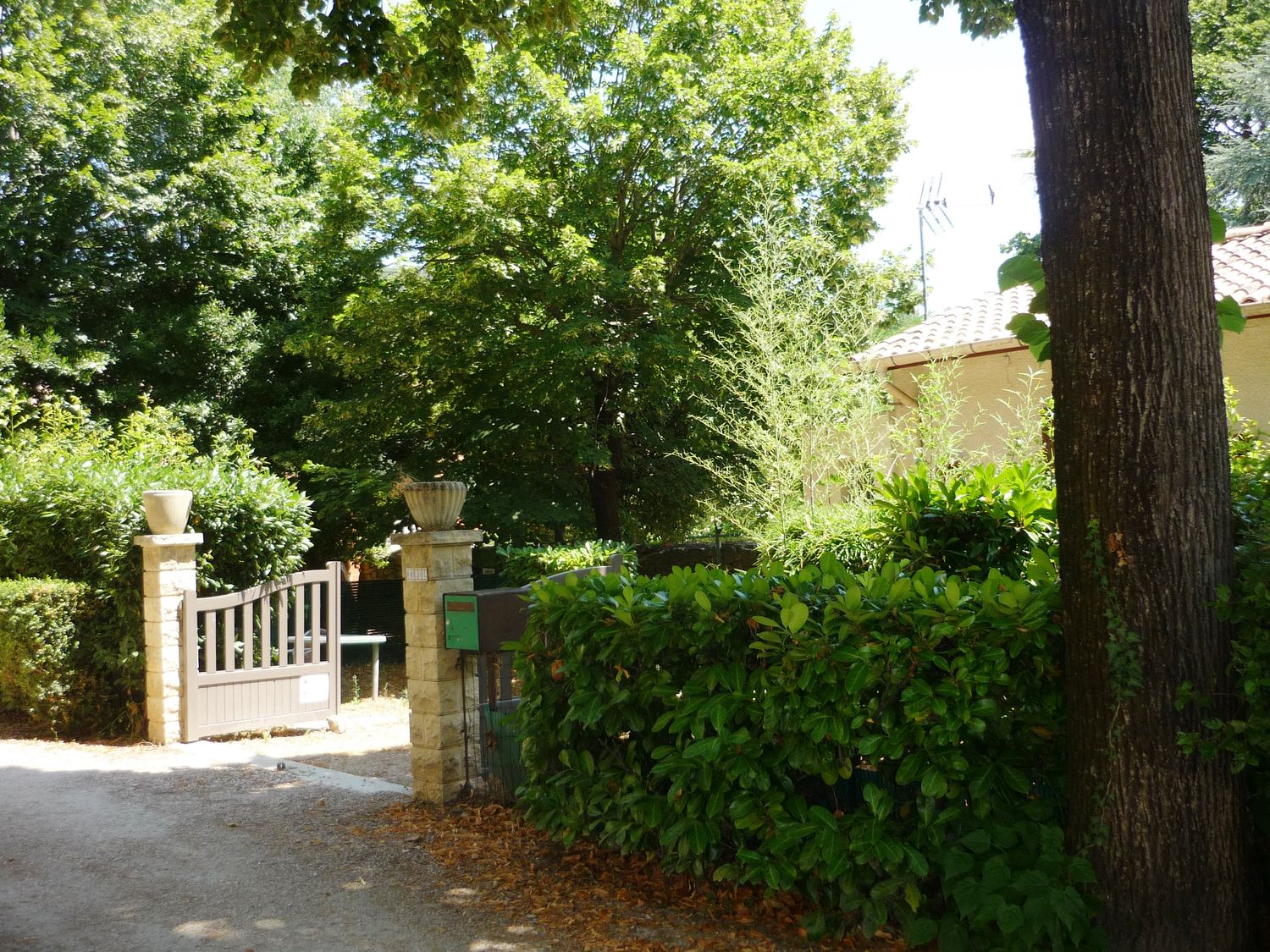 COLLANGE-SANCHE-LES-ROSES ©COLLANGE-SANCHE-LES-ROSES