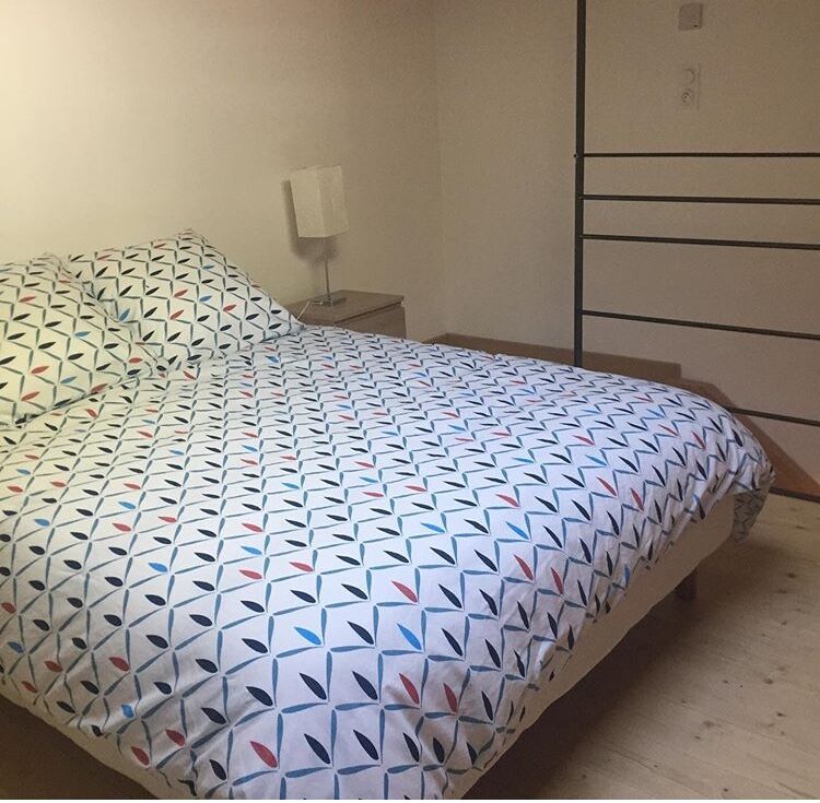 MELIZEN-CHAMBRE ©©la_ruche_melipone