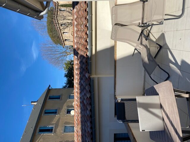 IMG-3071-2 ©©la_ruche_melipone