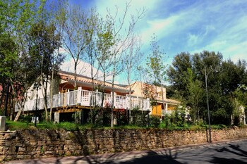 Corail_10 ©Karim Debache