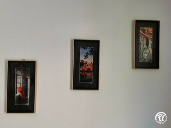 34G31209 - G.Bobola - Fourmi_10 ©©Relai Gîtes de France Hérault