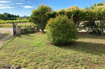 Les lauriers roses_13 ©Daniel et Catherine Marc