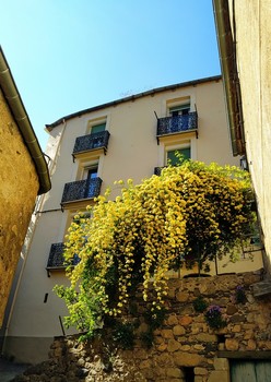 IMG_20230506_210902 ©Etoiles de france