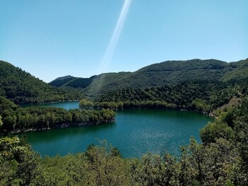 a395db7d-6366-46cc-85c7-b43df7a85bff ©©nichet