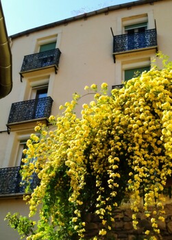 IMG_20230506_210718 ©Etoiles de France