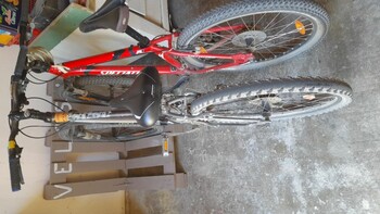 EAB17157-EC6F-4620-8762-071961ADE532 ©©courtin