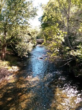 ea85e7a2-d2de-4dd6-9b89-ebbb2f1718b8 ©©nichet