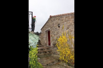 HLOLAR034NO09045_16 ©Fabre Claude