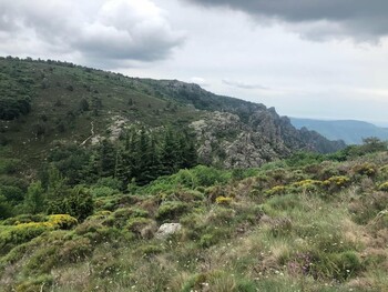 MASSIF-DU-CAROUX ©©nichet