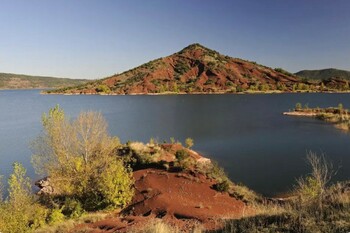 Les lauriers roses_20 ©