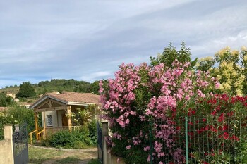 Les lauriers roses_2 ©Daniel et Catherine Marc