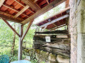 Grenouille - 10 ©BOC