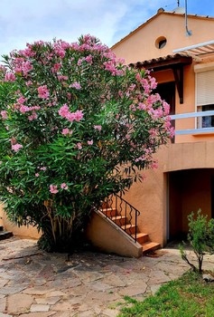 01 - Au Balcon d'Audrey -  Facade ©BITSCH